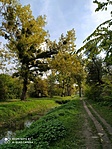 IMG_20201023_123316