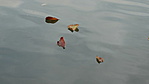 DSC00139