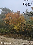 IMG_20201026_103026