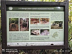 IMG_20201026_110251