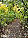 IMG_20201026_111716