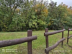 IMG_20201026_111933