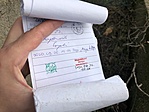 Log