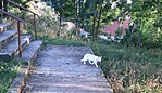 20201009_190119