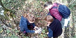 IMG_20201010_120935