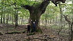 IMG_20201010_120701