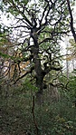 IMG_20201010_120322