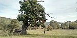 IMG_20201010_114006