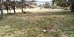IMG_20201010_113417