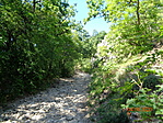 DSC05934