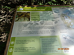 DSC05937