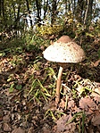 20201022_112949874_iOS