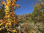20201022_110522404_iOS