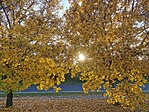 IMG_20201028_152631
