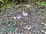 IMG_20200924_145900