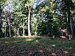 IMG_2531