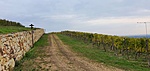20201023_154602