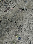 IMG_20201001_121012