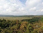 IMG_20201002_113757