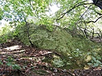 IMG_20201002_114146