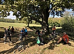 GCKPDD-2 Videcz-tölgynél pihenők 