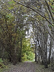 20201024_132919
