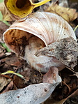 20201024_160131