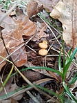 20201024_160704