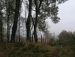IMG_20201023_161108