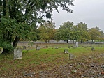 IMG_20201025_101325