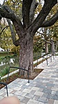 IMG_20201006_092220