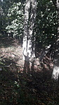 20201003_142521