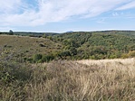 20201010_101849