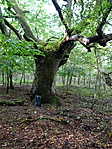 DSC03872