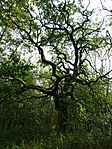 DSC03874