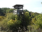 DSC03921