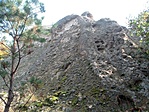 IMG_20201003_115559