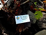 IMG_20201018_081639