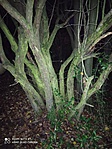 IMG_20201031_172321