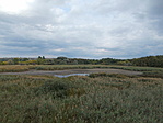 Merzse-mocsár