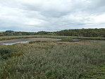 Merzse-mocsár