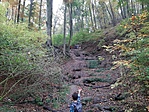 20201028_143213