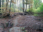 20201028_143339