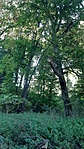 20201020_120245