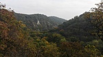 IMG_20201023_140439