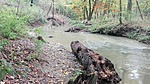 IMG_20201023_143628