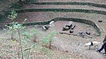 IMG_20201023_160424
