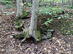 IMG_20201011_155212
