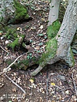 IMG_20201011_155205