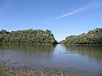 PA107523